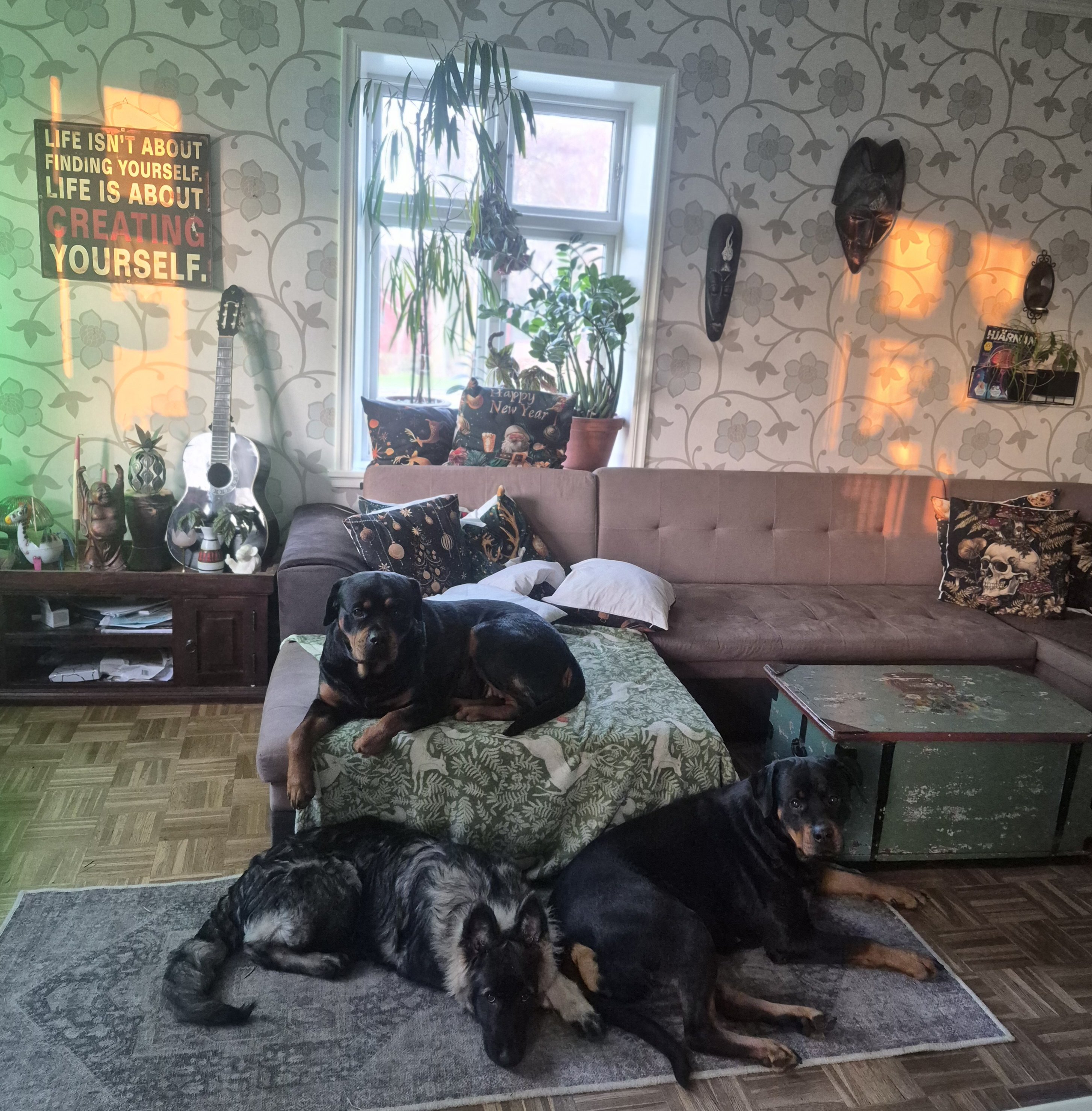 Villa/Hus, 2 rooms, 18 sqm, Höör – bild 7