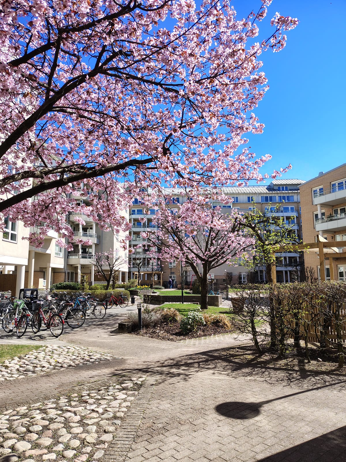 1 rok · 34 m² i Halmstad – bild 8