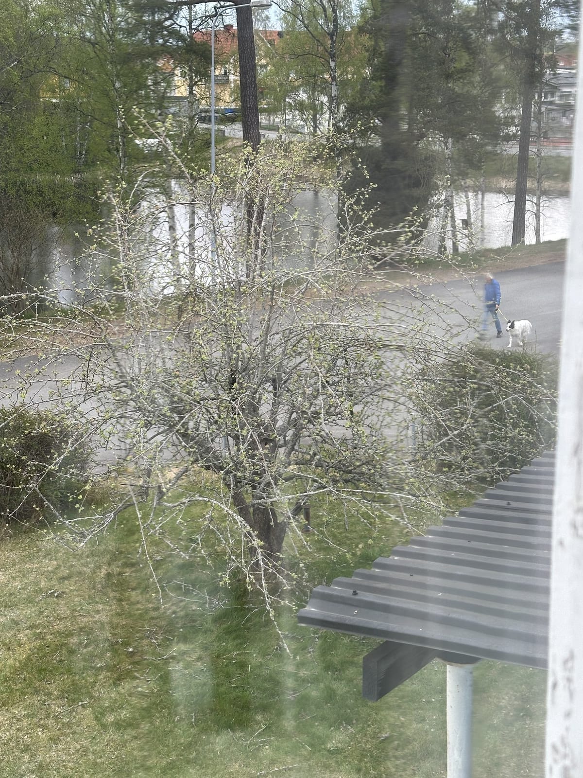 2 rok · 73 m² i Mariannelund – bild 9