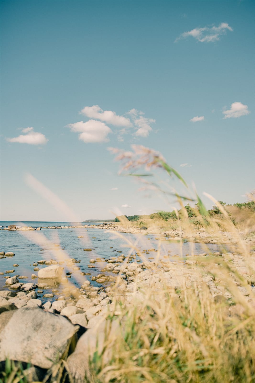 2 rok · 35 m² i Visby – bild 17