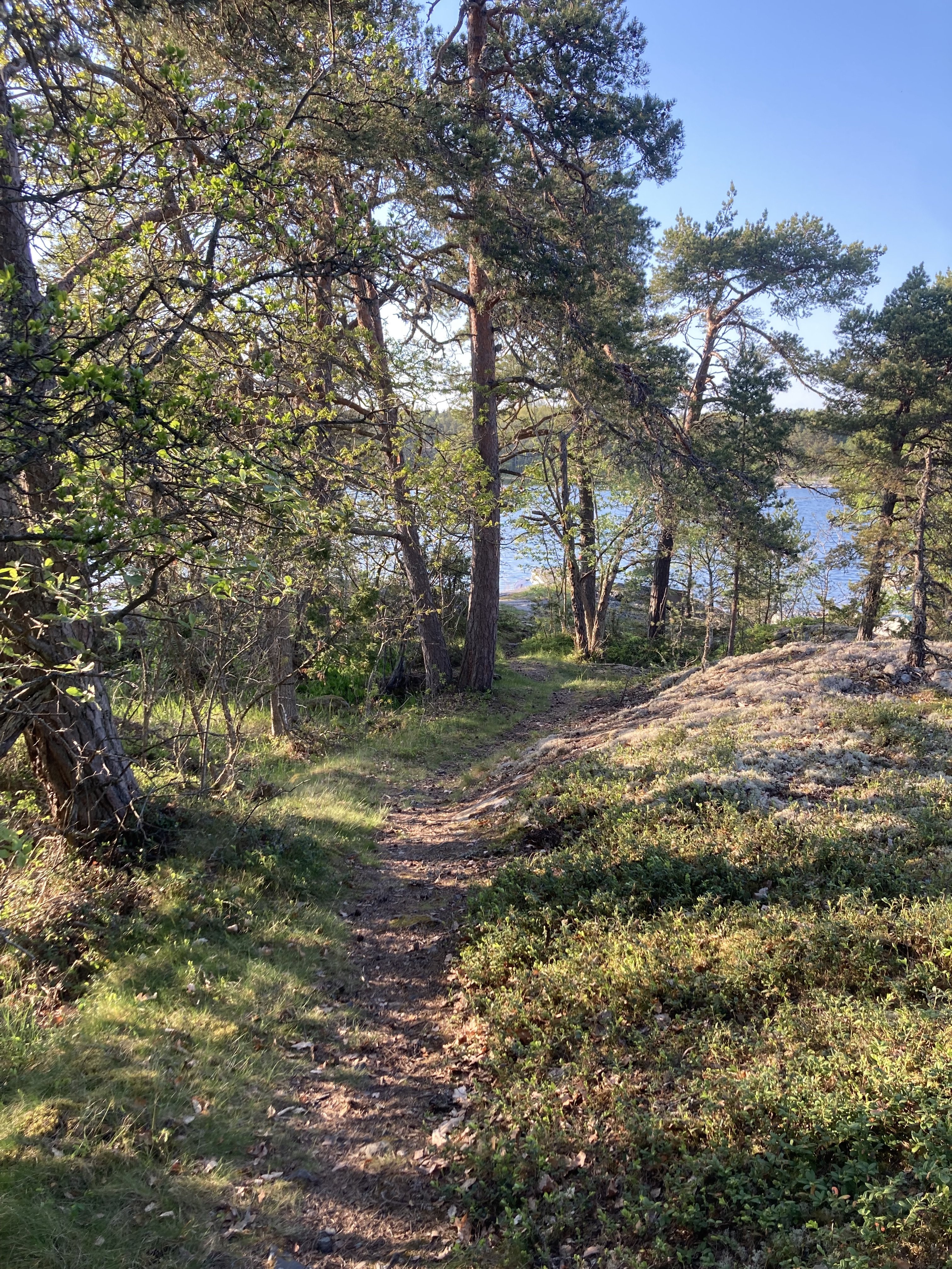 Duplex, 4 rooms, 95 sqm, Runmarö – bild 16