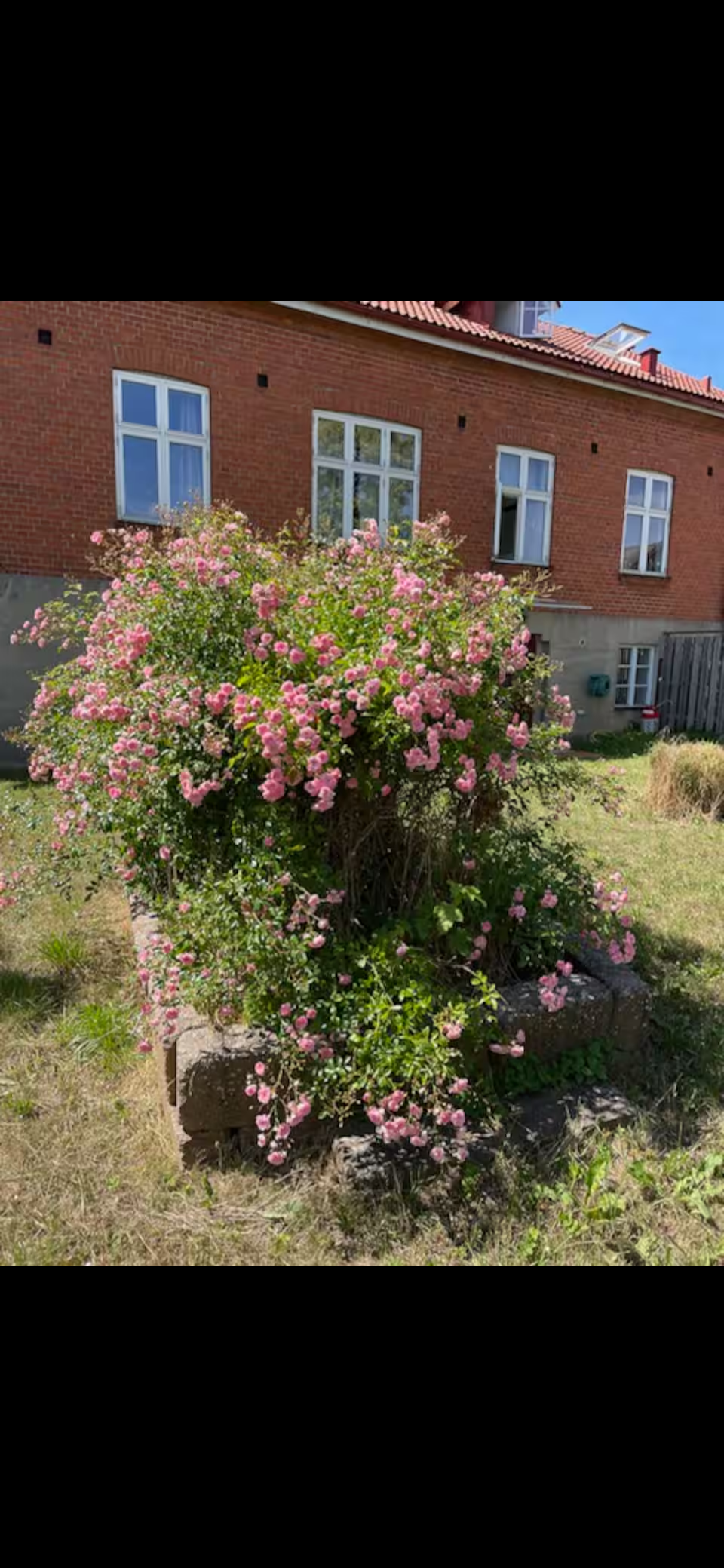 Lägenhet, 3 rooms, 60 sqm, Löderup – bild 8