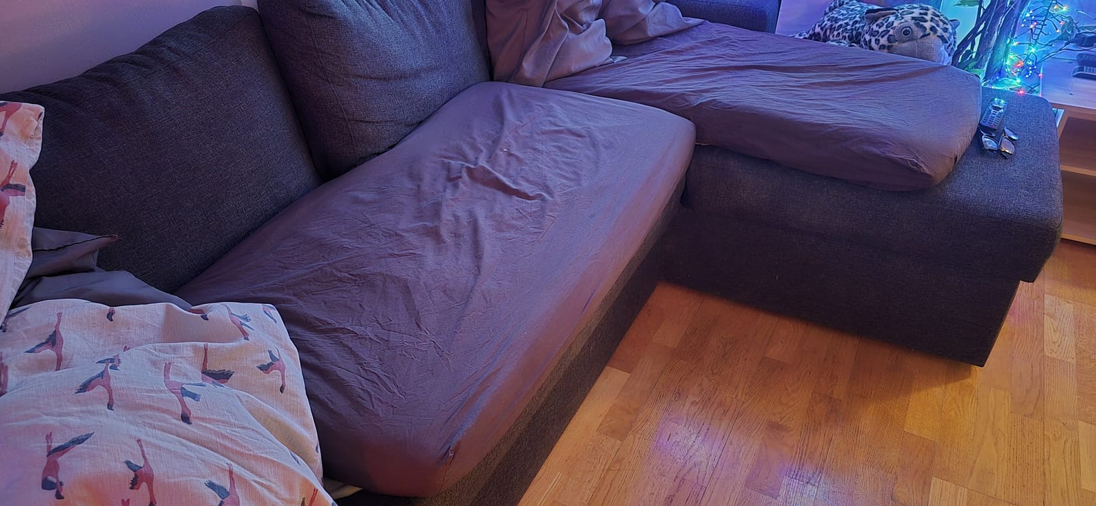 2 rok · 40 m² i Uppsala – bild 3