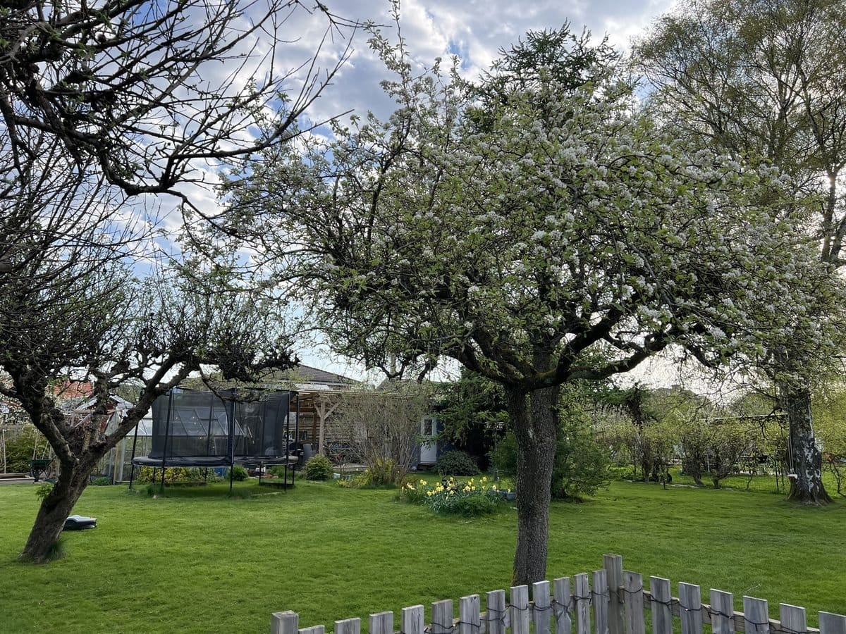 6 rok · 150 m² i Mölndal – bild 39