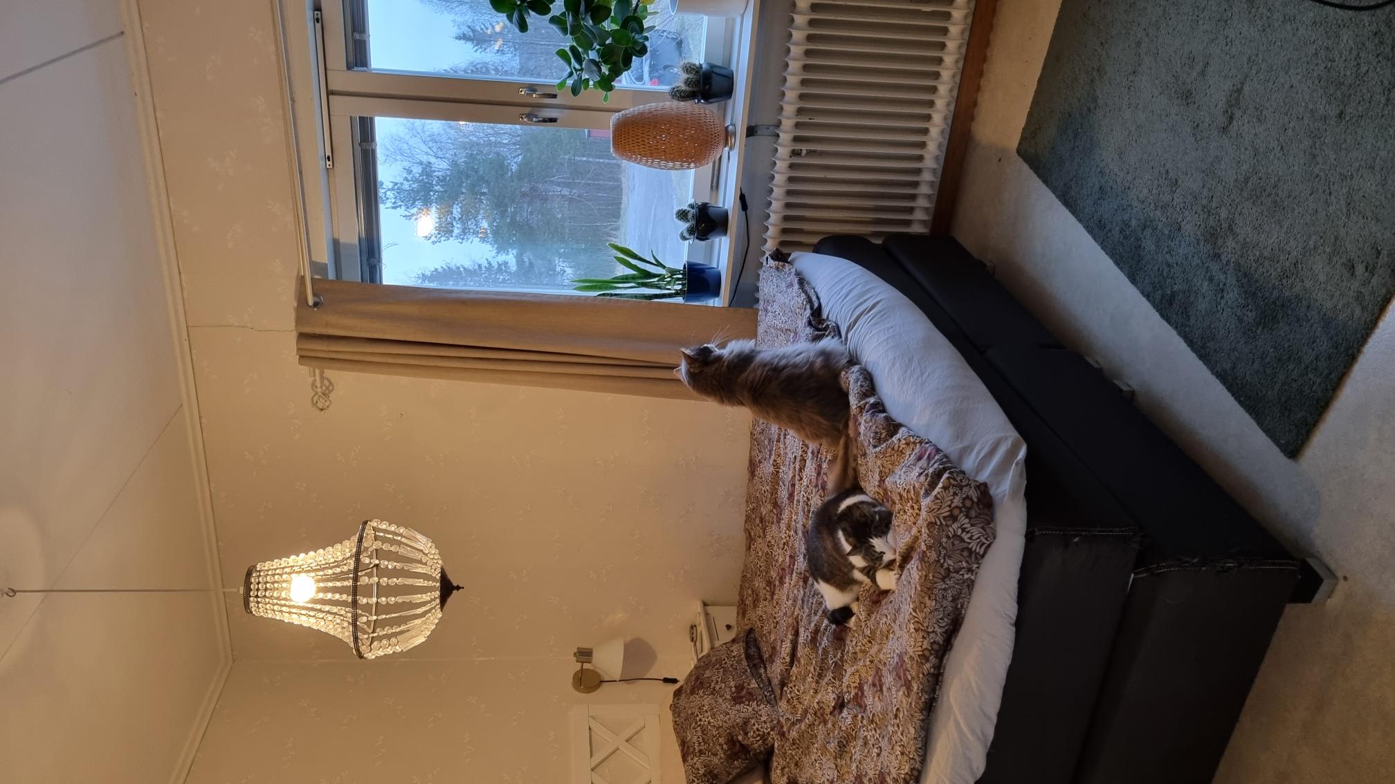 2 rok · 71 m² i Örnsköldsvik – bild 9