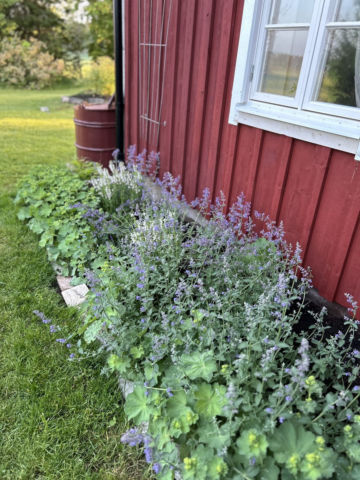 4 rok · 100 m² i Grästorp – bild 14