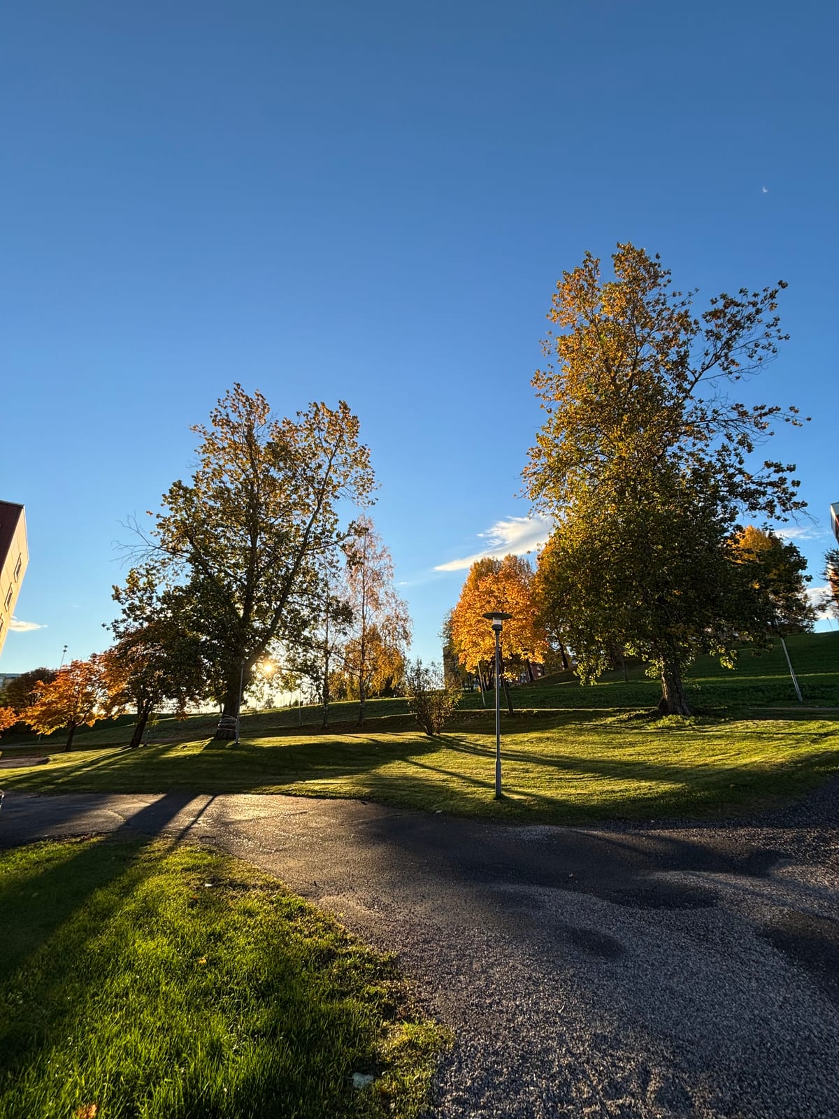 1 rok · 34 m² i Sundsvall – bild 9