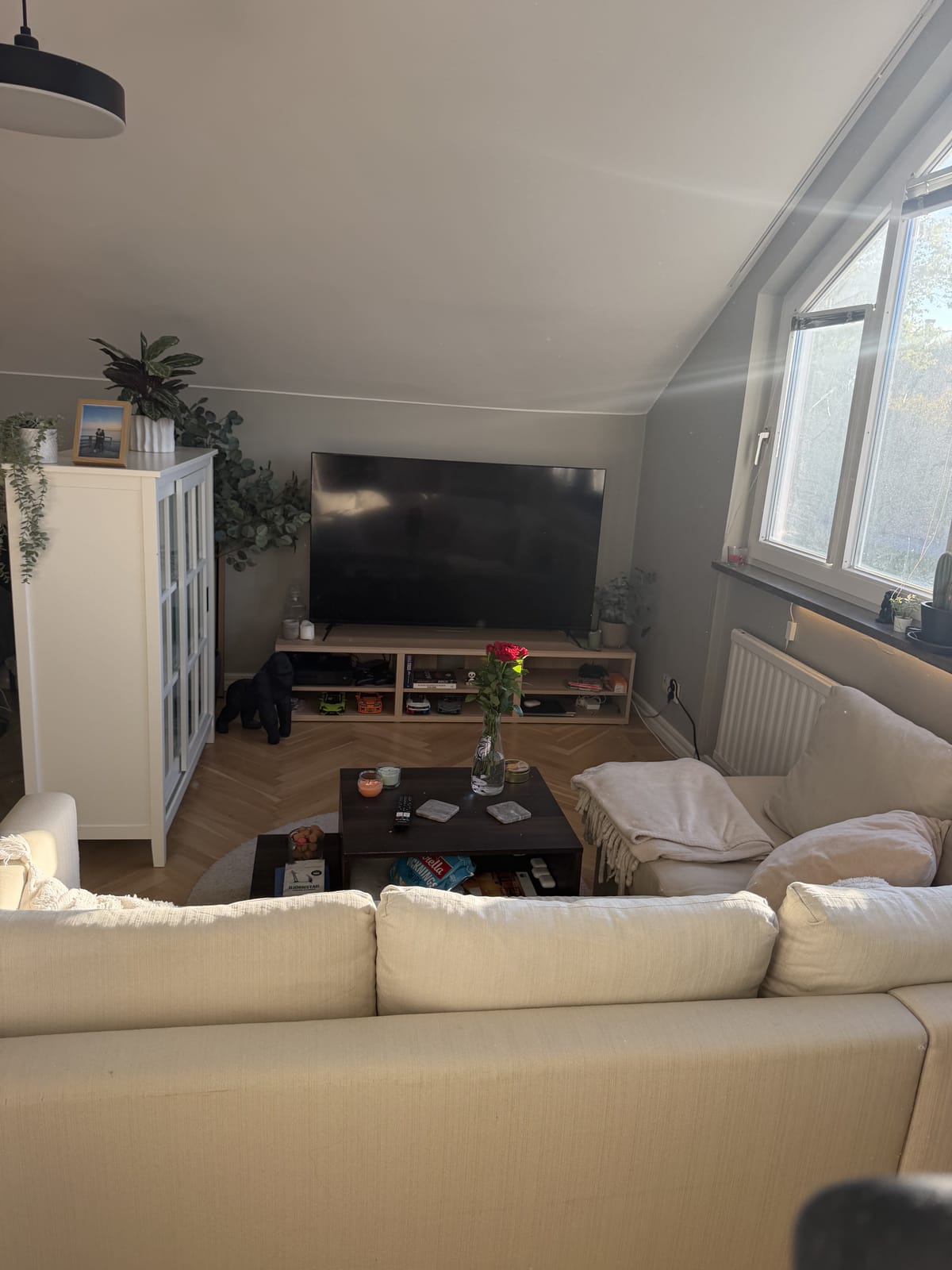 1 rok · 42 m² i Borås – bild 2