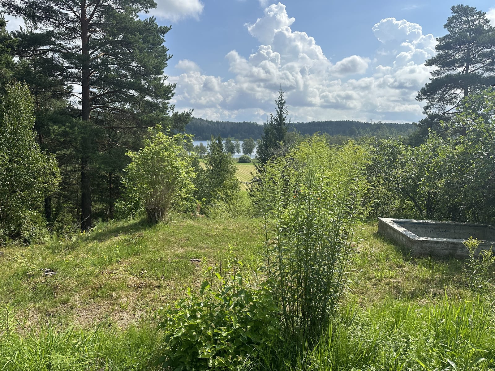 3 rok · 80 m² i Mölnbo – bild 14