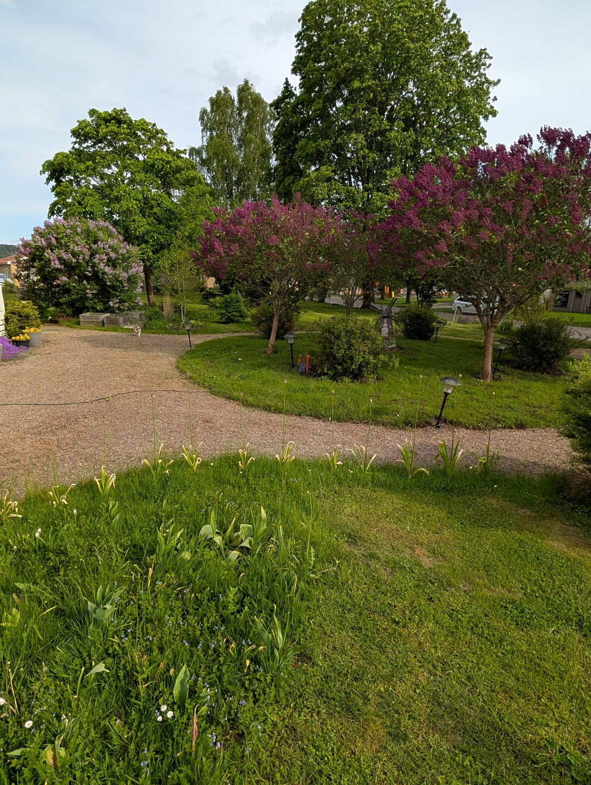 4 rok · 100 m² i Broddetorp – bild 3