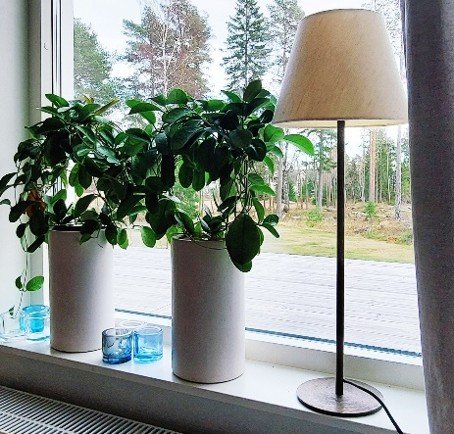 5 rok · 168 m² i Hudiksvall – bild 6
