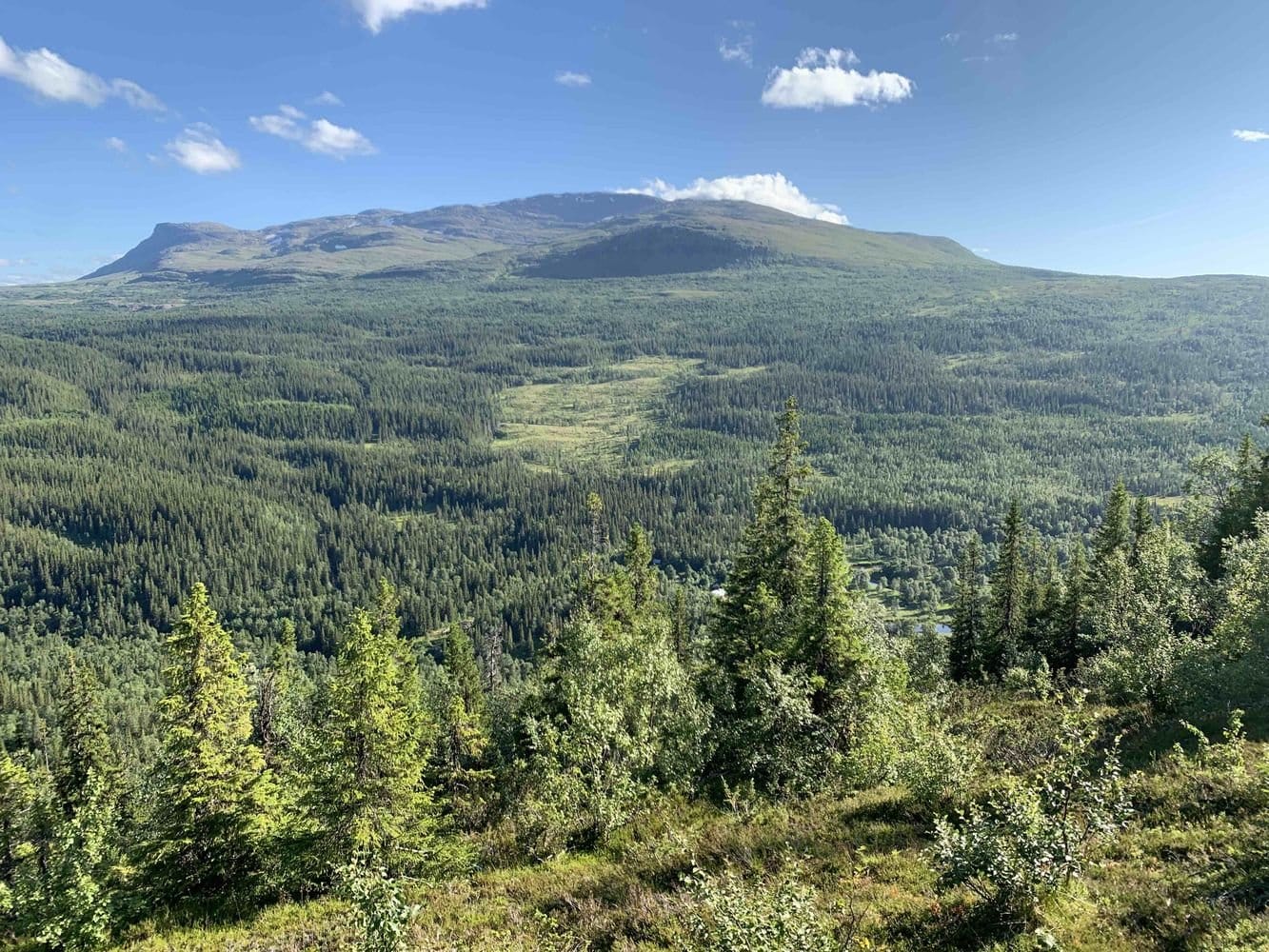 2 rok · 41 m² i Järpen – bild 13