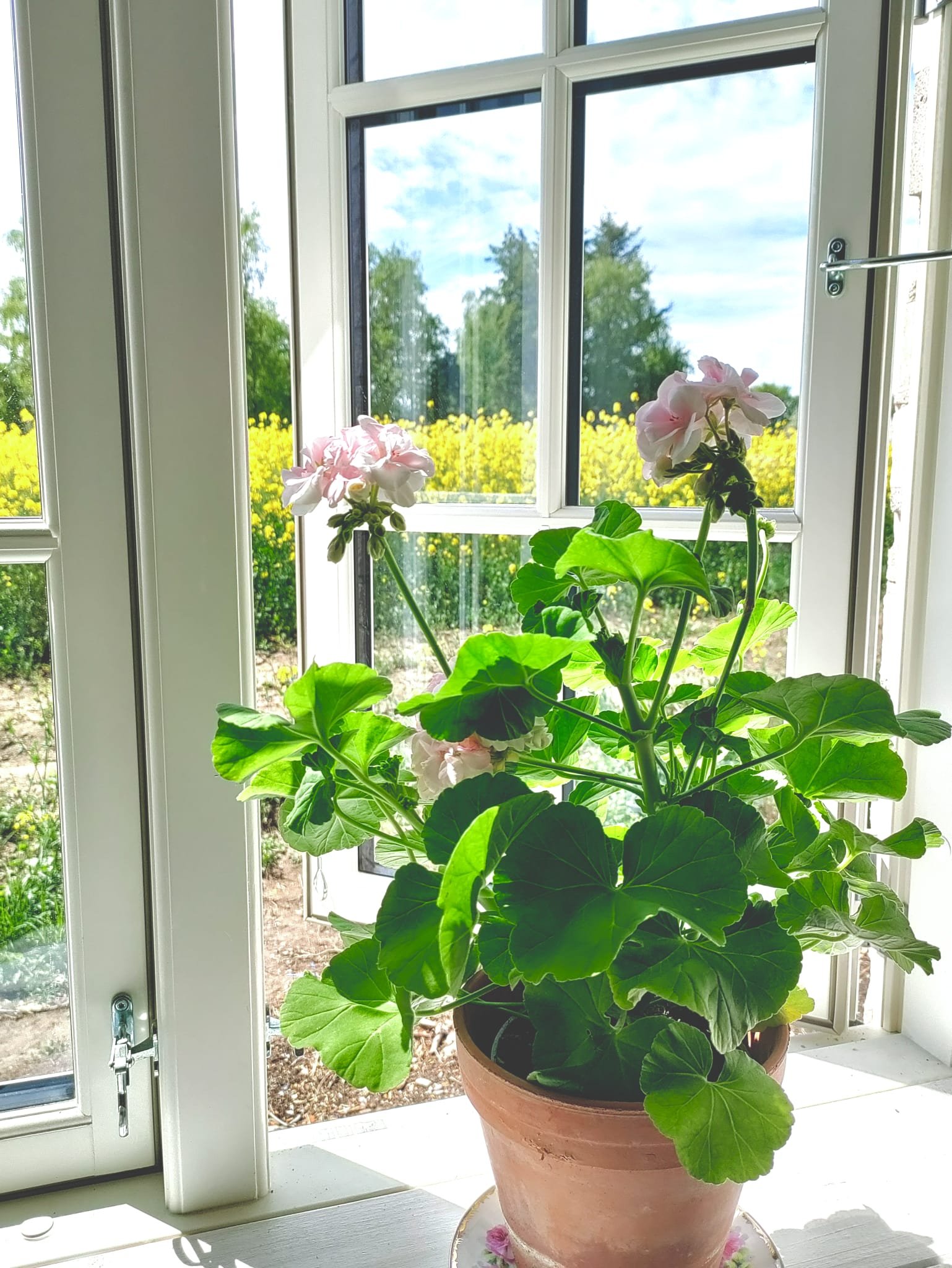 Lägenhet, 2 rooms, 67 sqm, Ystad – bild 18