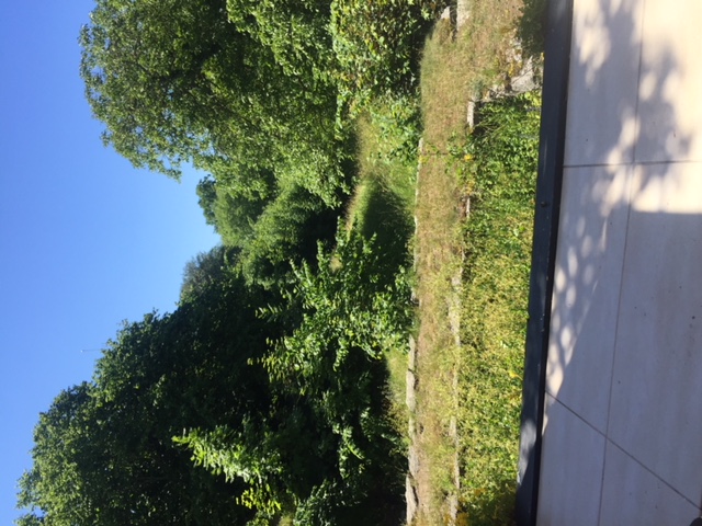 2 rok · 50 m² i Visby – bild 7