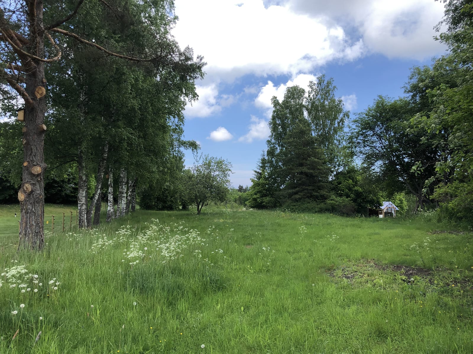 2 rok · 40 m² i Väddö – bild 4