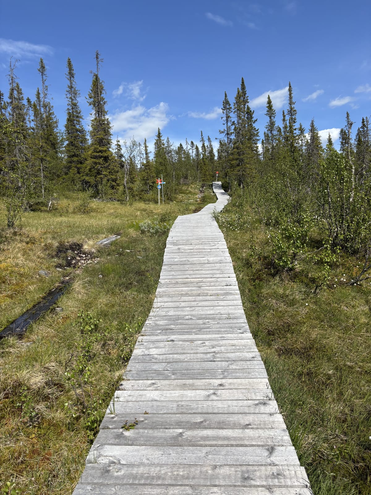 2 rok · 51 m² i Vemdalen – bild 4