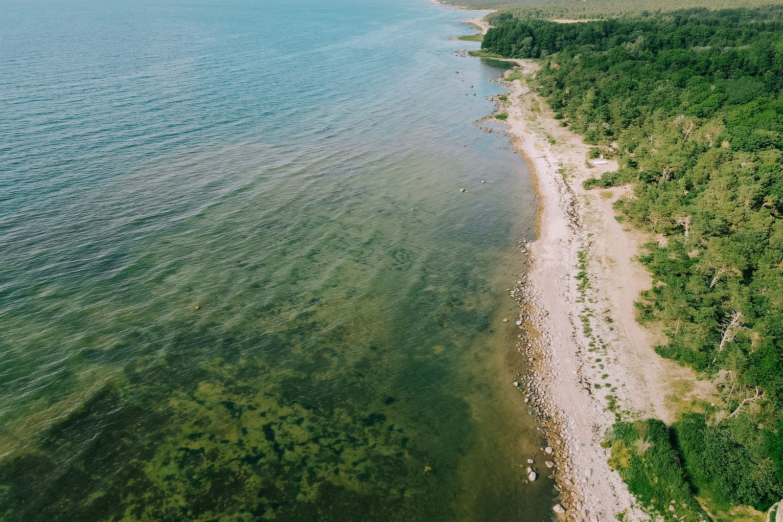 4 rok · 50 m² i Visby – bild 13