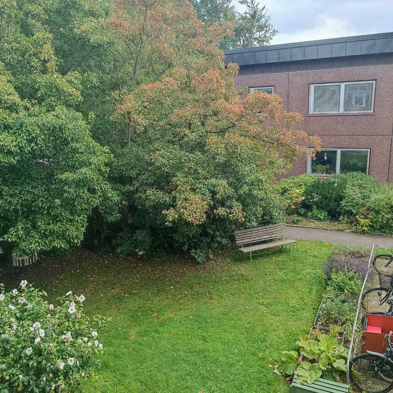 Lägenhet, 1 rooms, 30 sqm, Lund – bild 4