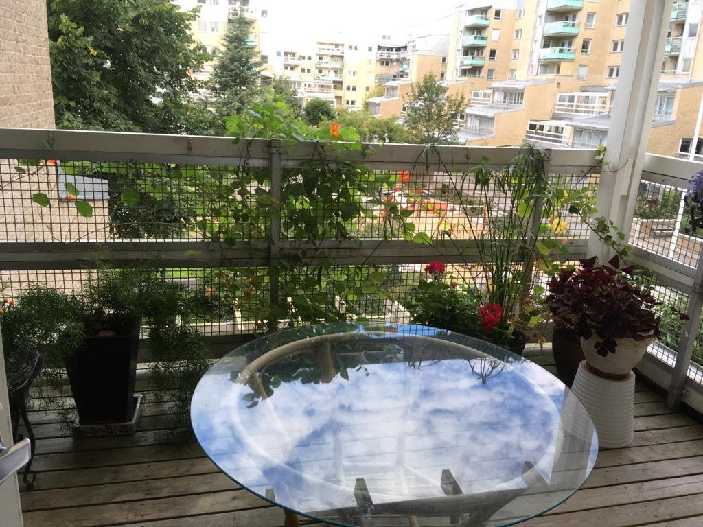 3 rok · 12 m² i Göteborg – bild 7