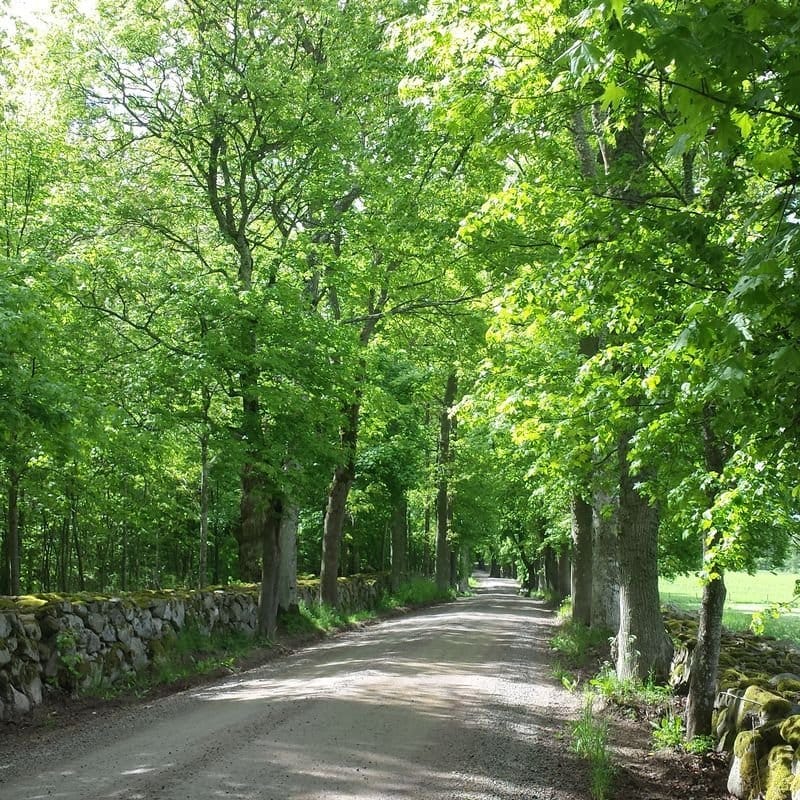 6 rok · 150 m² i Ålem – bild 16