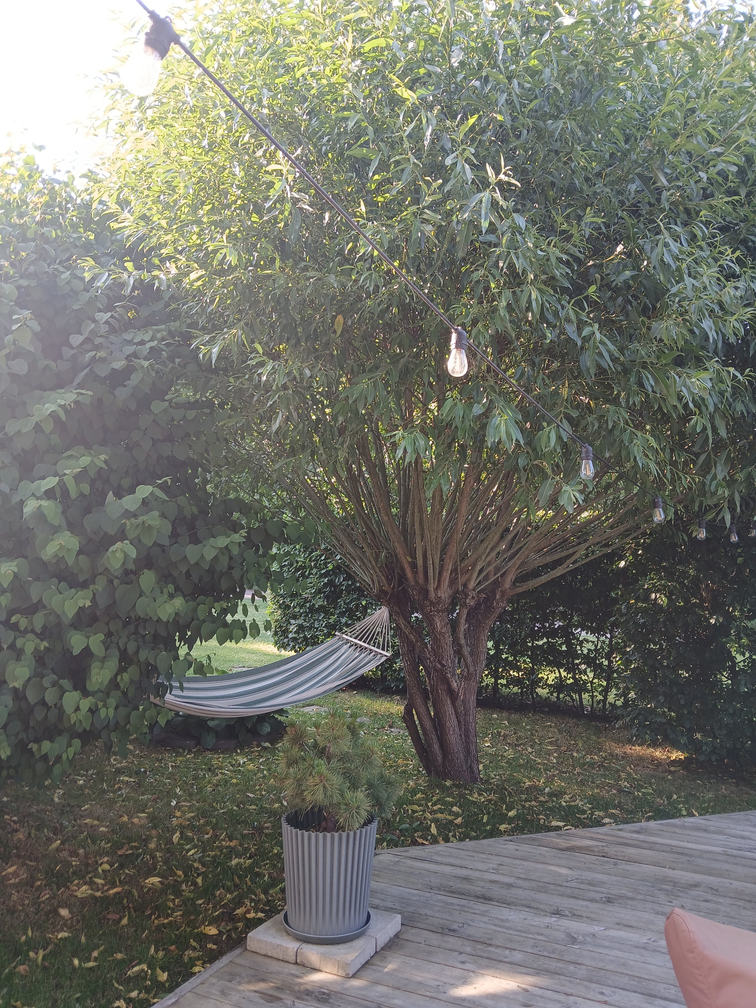 Radhus, 4 rooms, 124 sqm, Helsingborg – bild 2