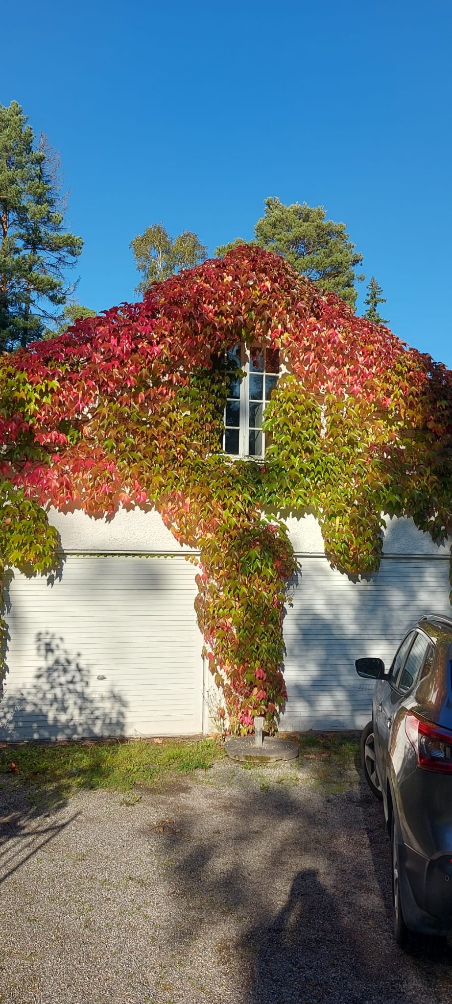 Lägenhet, 1 rooms, 39 sqm, Värmdö – bild 19