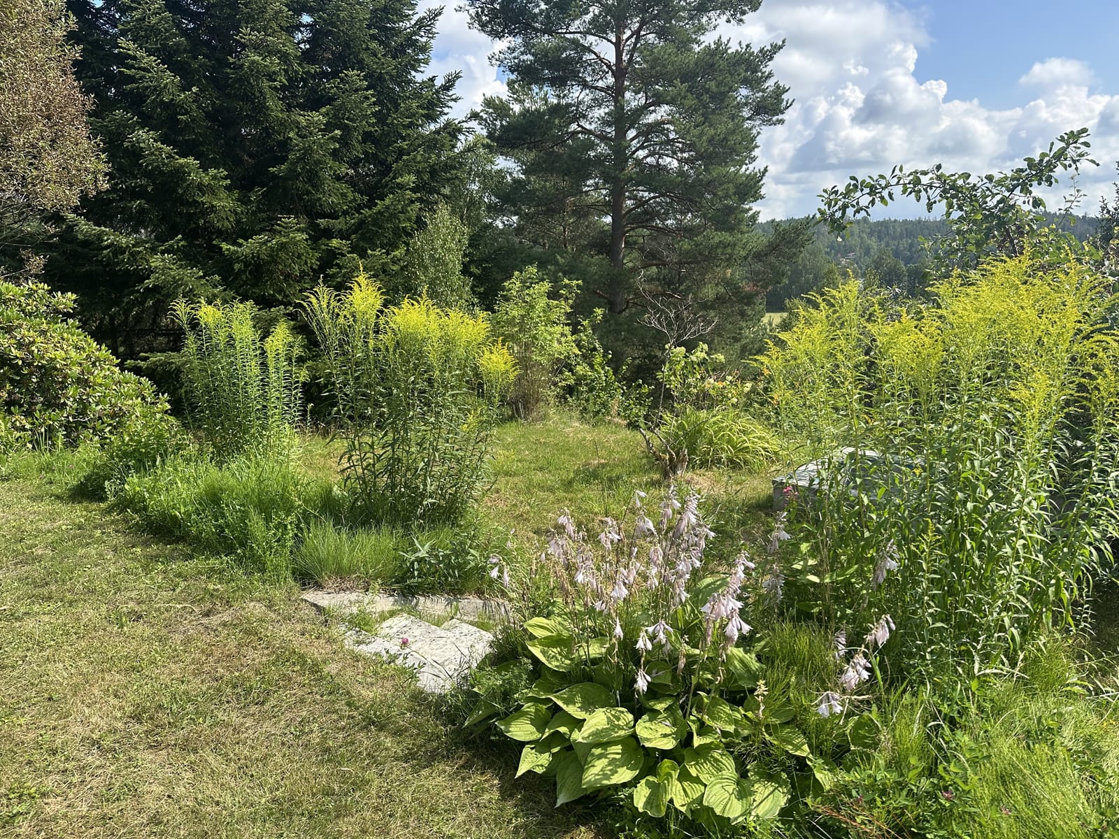 3 rok · 80 m² i Mölnbo – bild 12