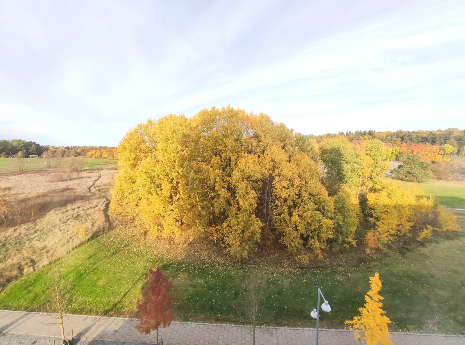 2 rok · 40 m² i Solna – bild 11