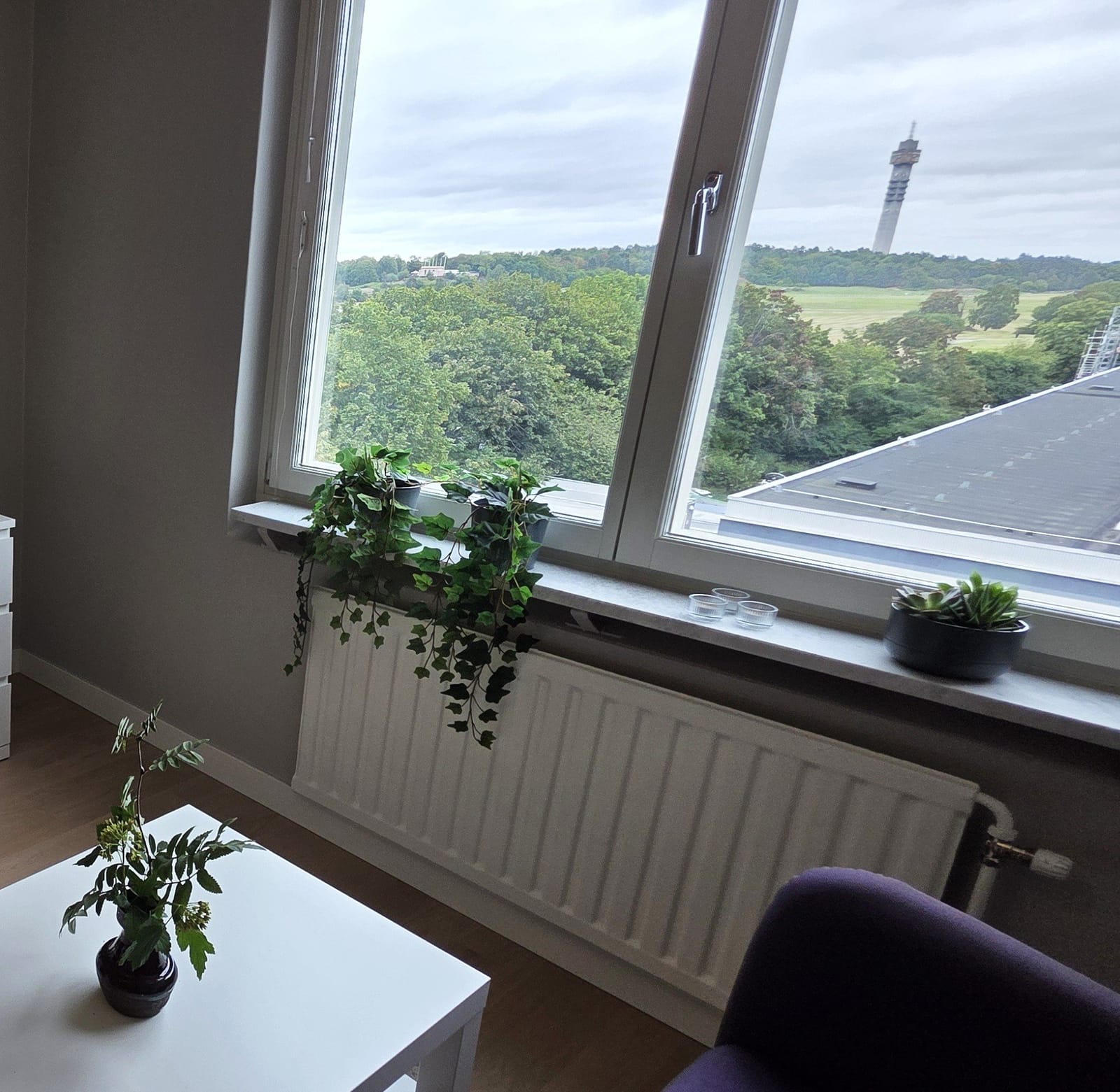 1 rok · 20 m² i Stockholm – bild 4