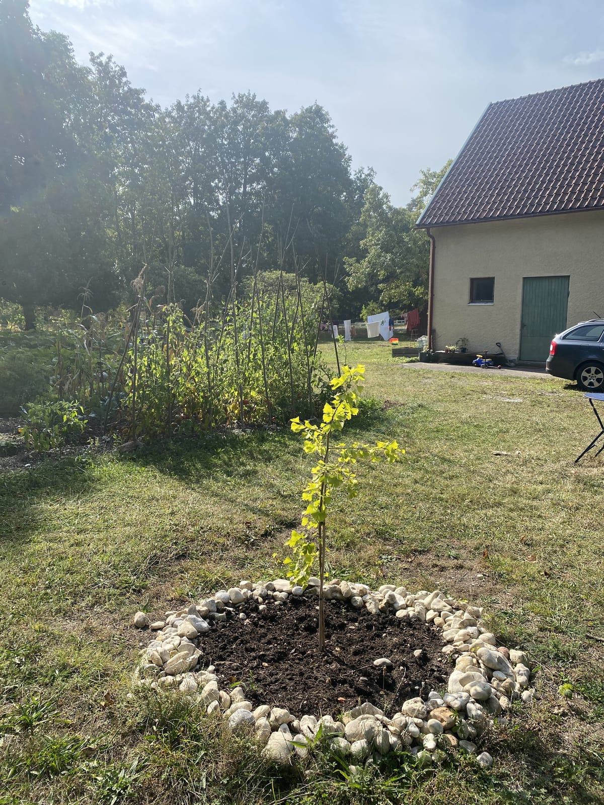 2 rok · 80 m² i Romakloster – bild 13