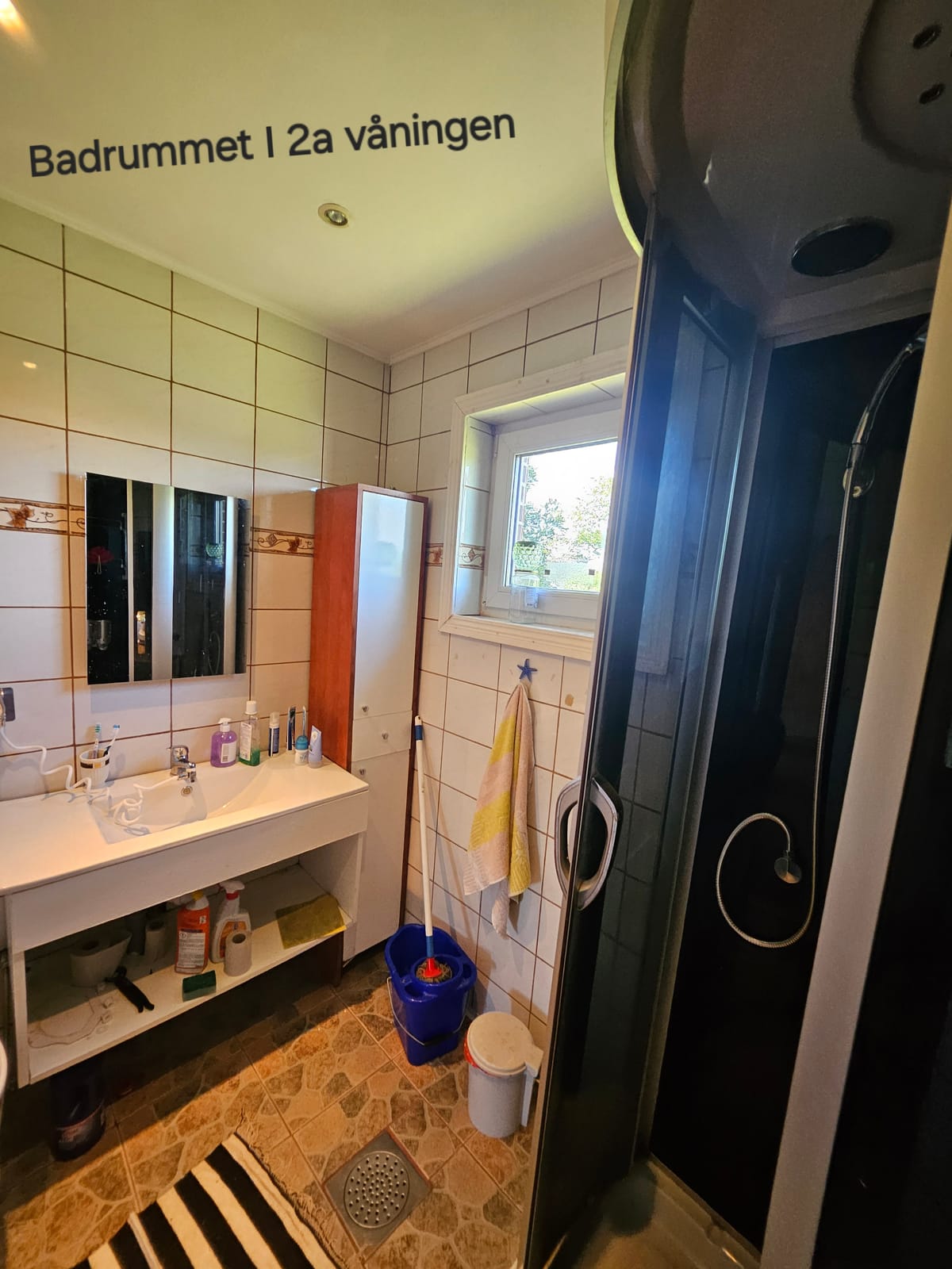 9 rok · 320 m² i Korsberga – bild 38