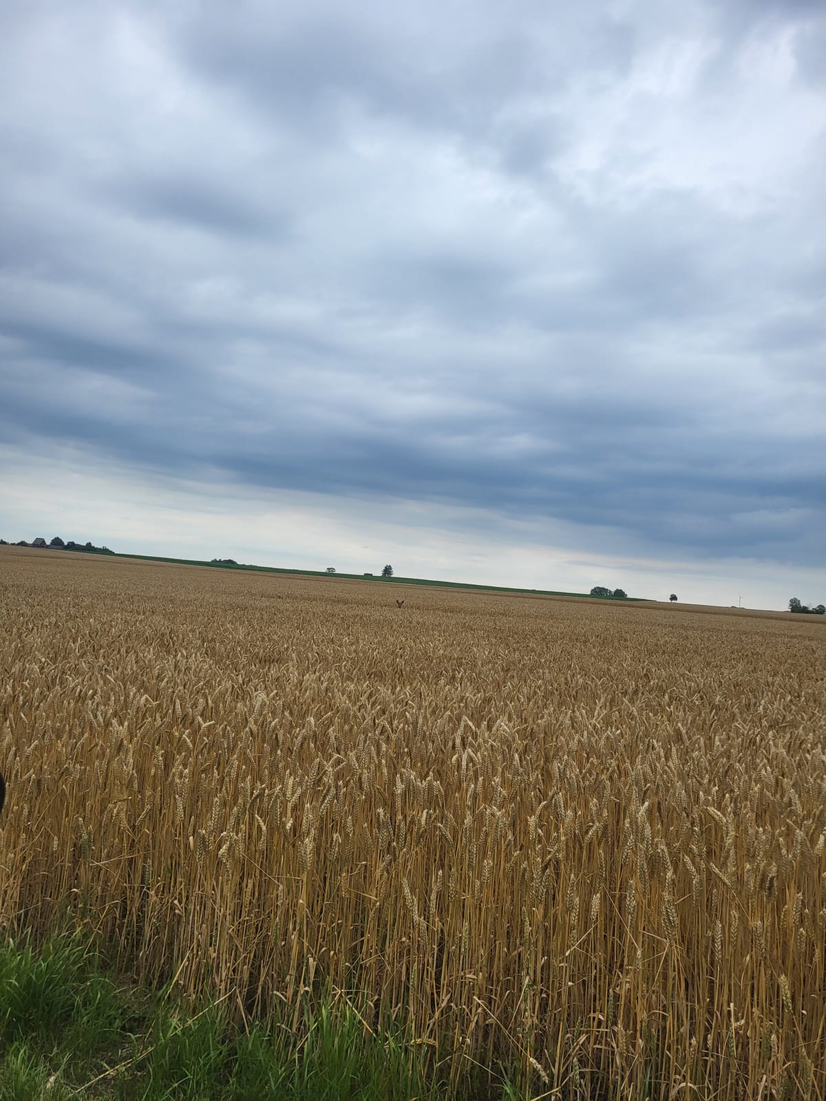 2 rok · 70 m² i Marieholm – bild 9