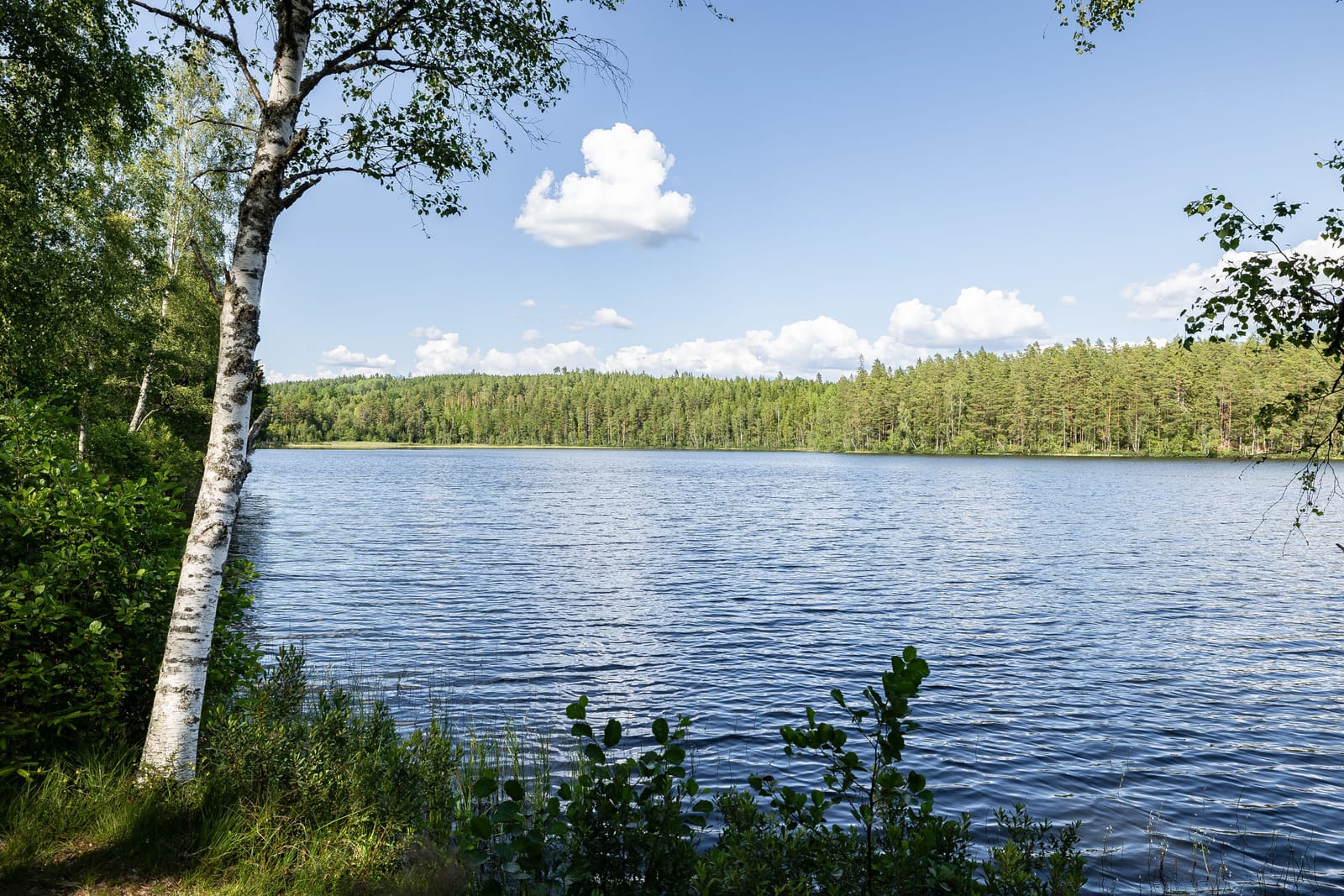 1 rok · 12 m² i Vimmerby – bild 13