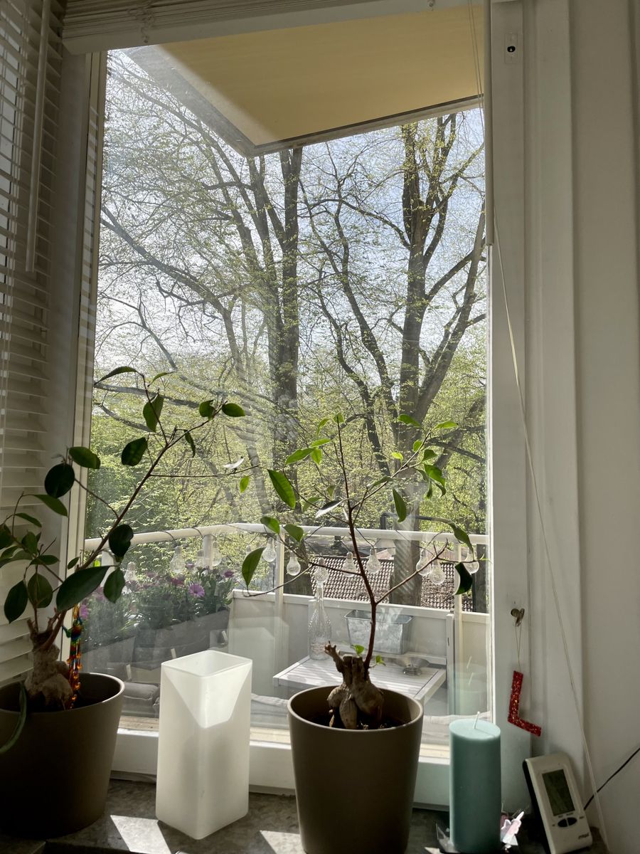 Lägenhet, 2 rooms, 36 sqm, Stockholm
