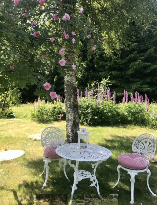 Stuga, 2 rooms, 50 sqm, Hjo – bild 10