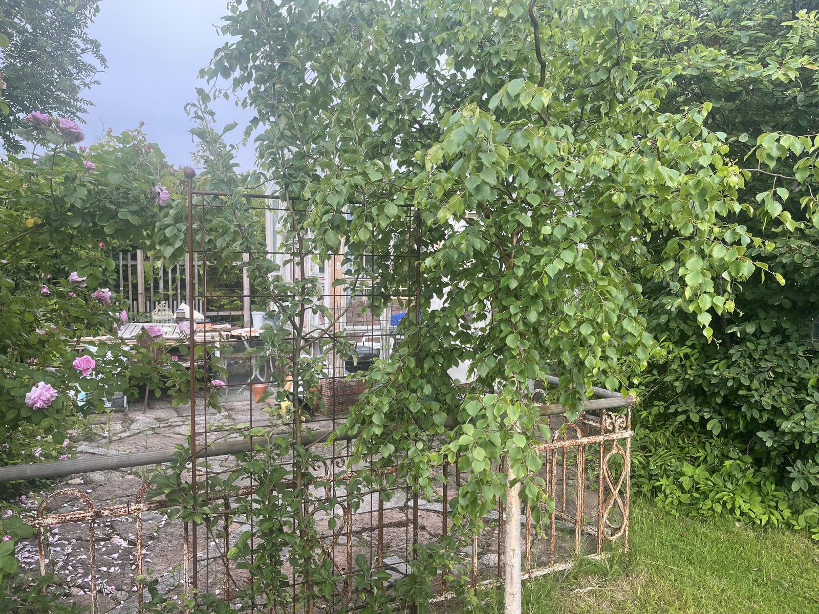 4 rok · 80 m² i Båstad – bild 20