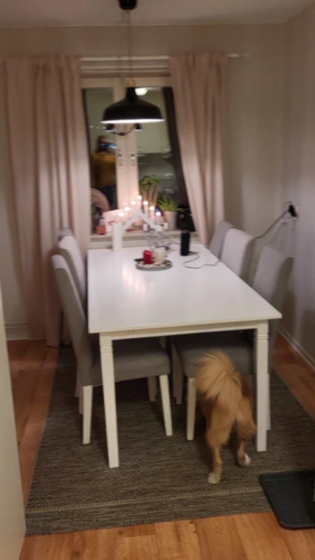 1 rok · 20 m² i Umeå – bild 4