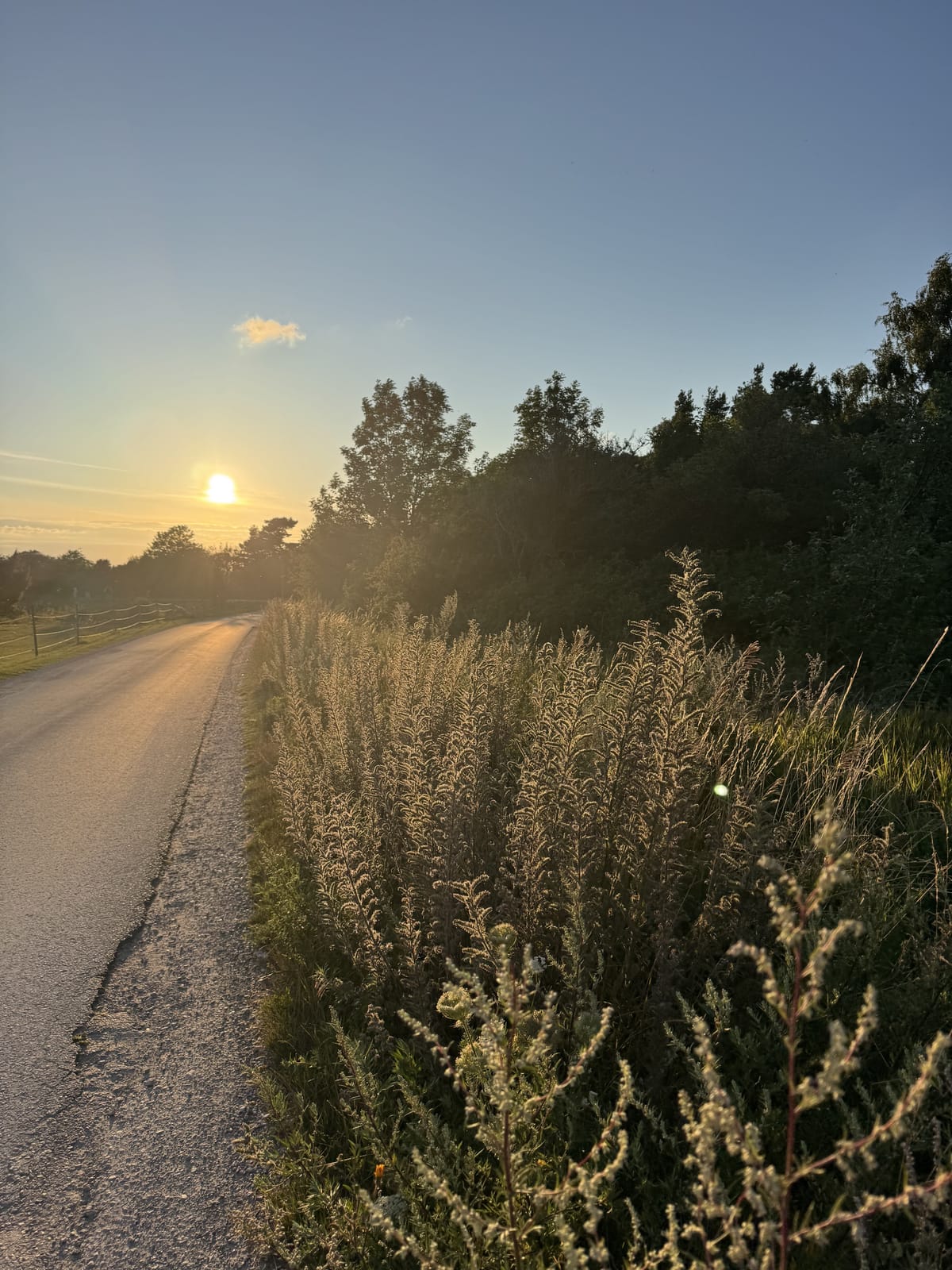 3 rok · 100 m² i Visby – bild 17