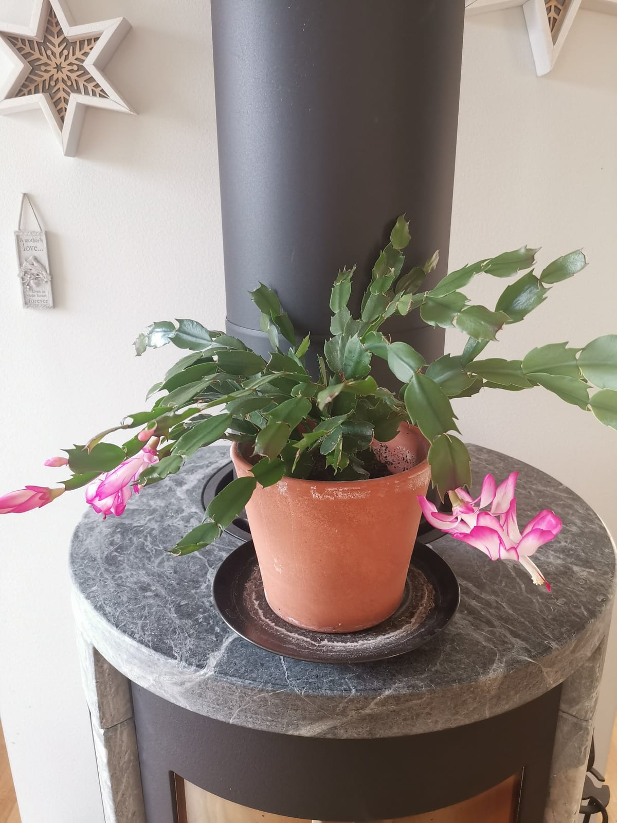 4 rok · 125 m² i Märsta – bild 9