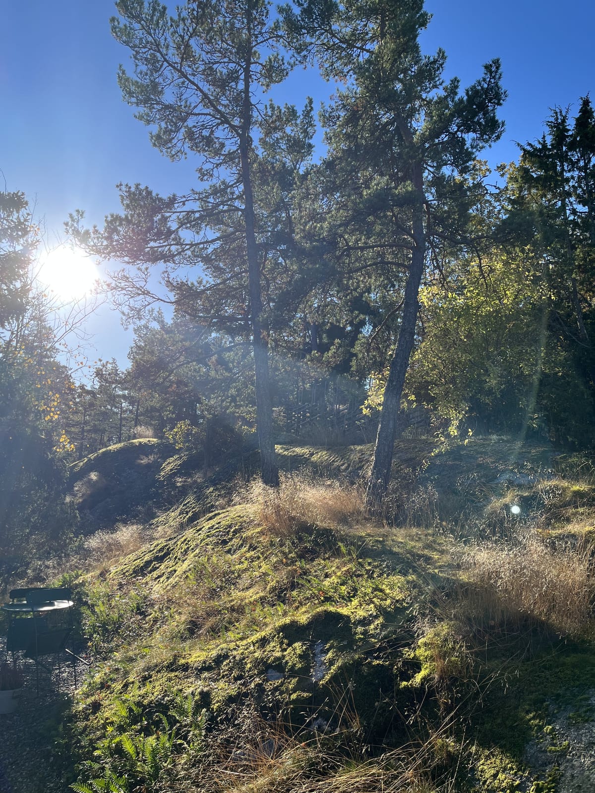 2 rok · 30 m² i Gustavsberg – bild 14