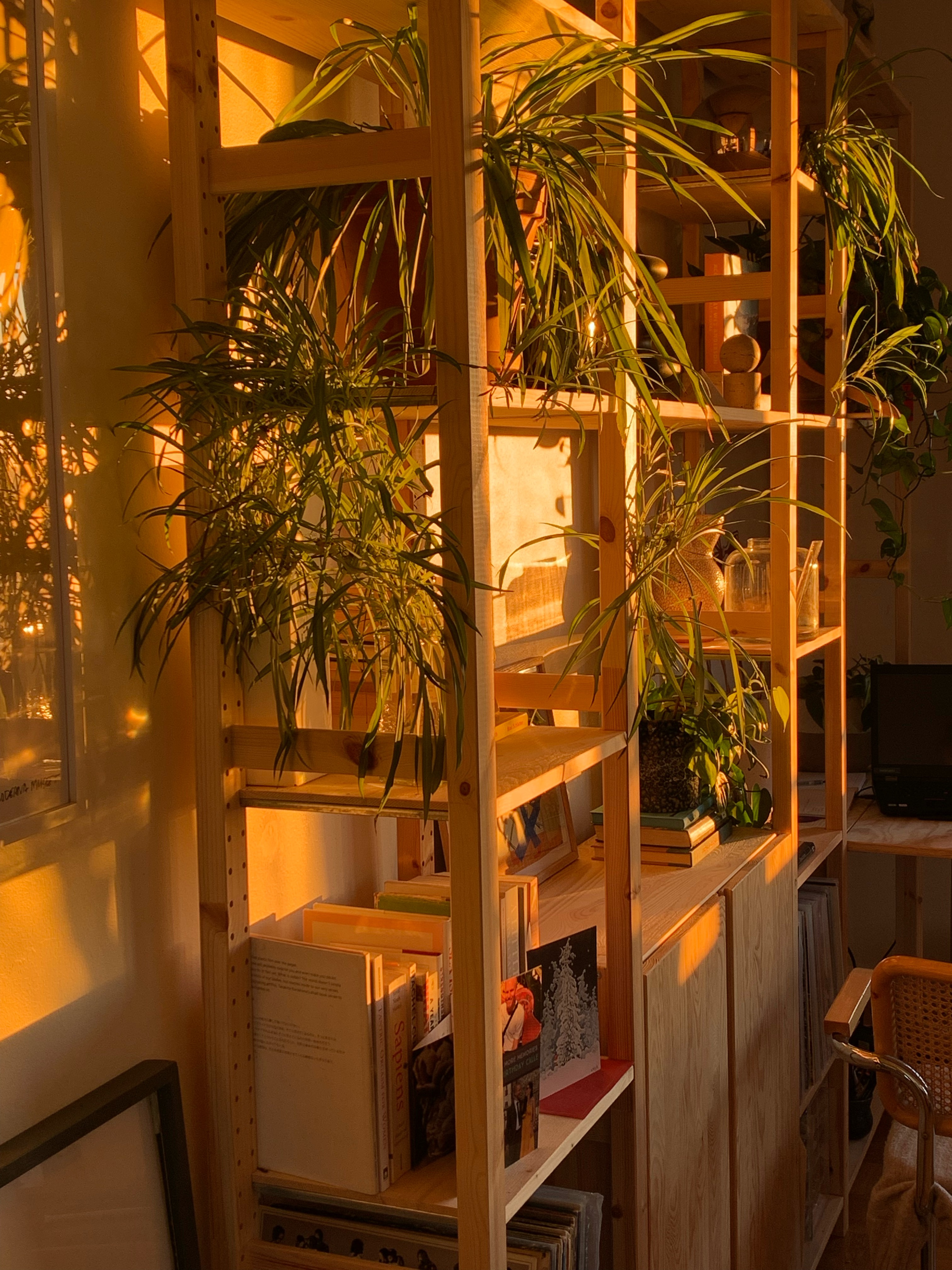 Lägenhet, 3 rooms, 64 sqm, Johanneshov – bild 8
