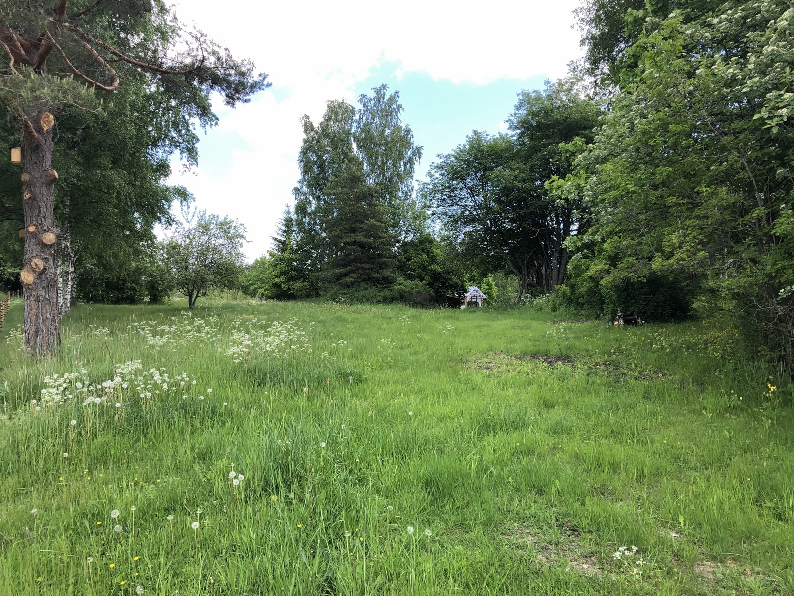 2 rok · 40 m² i Väddö – bild 6