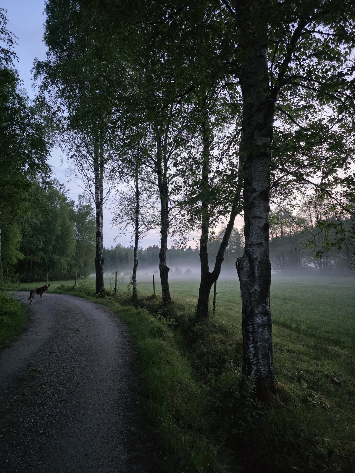 4 rok · 89 m² i Spekeröd – bild 2