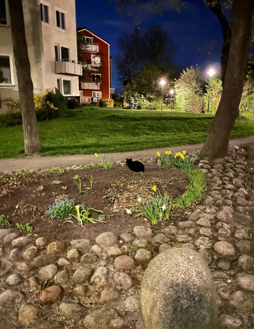 1 rok · 18 m² i Stockholm – bild 12