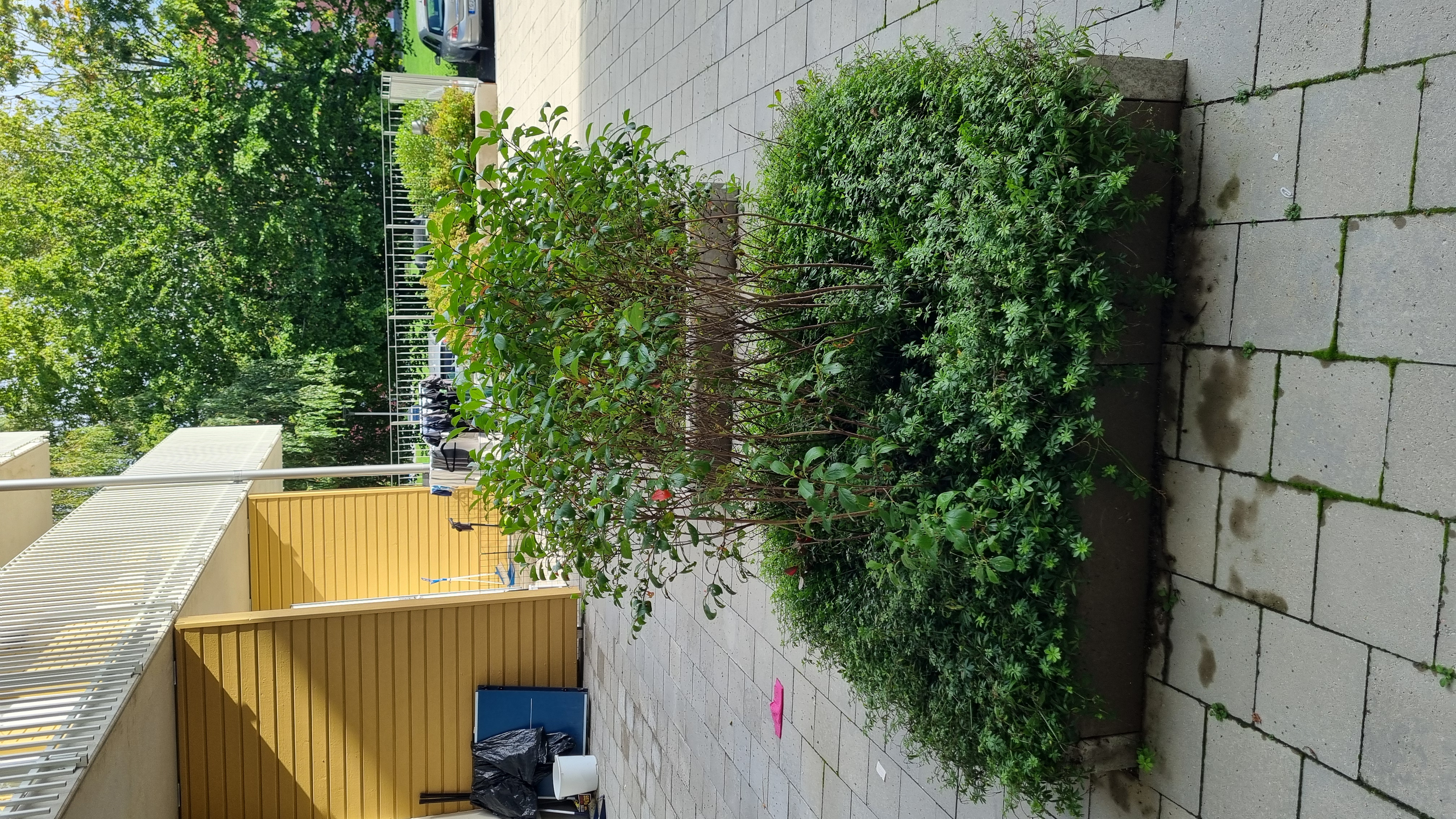 Lägenhet, 1 rooms, 47 sqm, Vallentuna – bild 17
