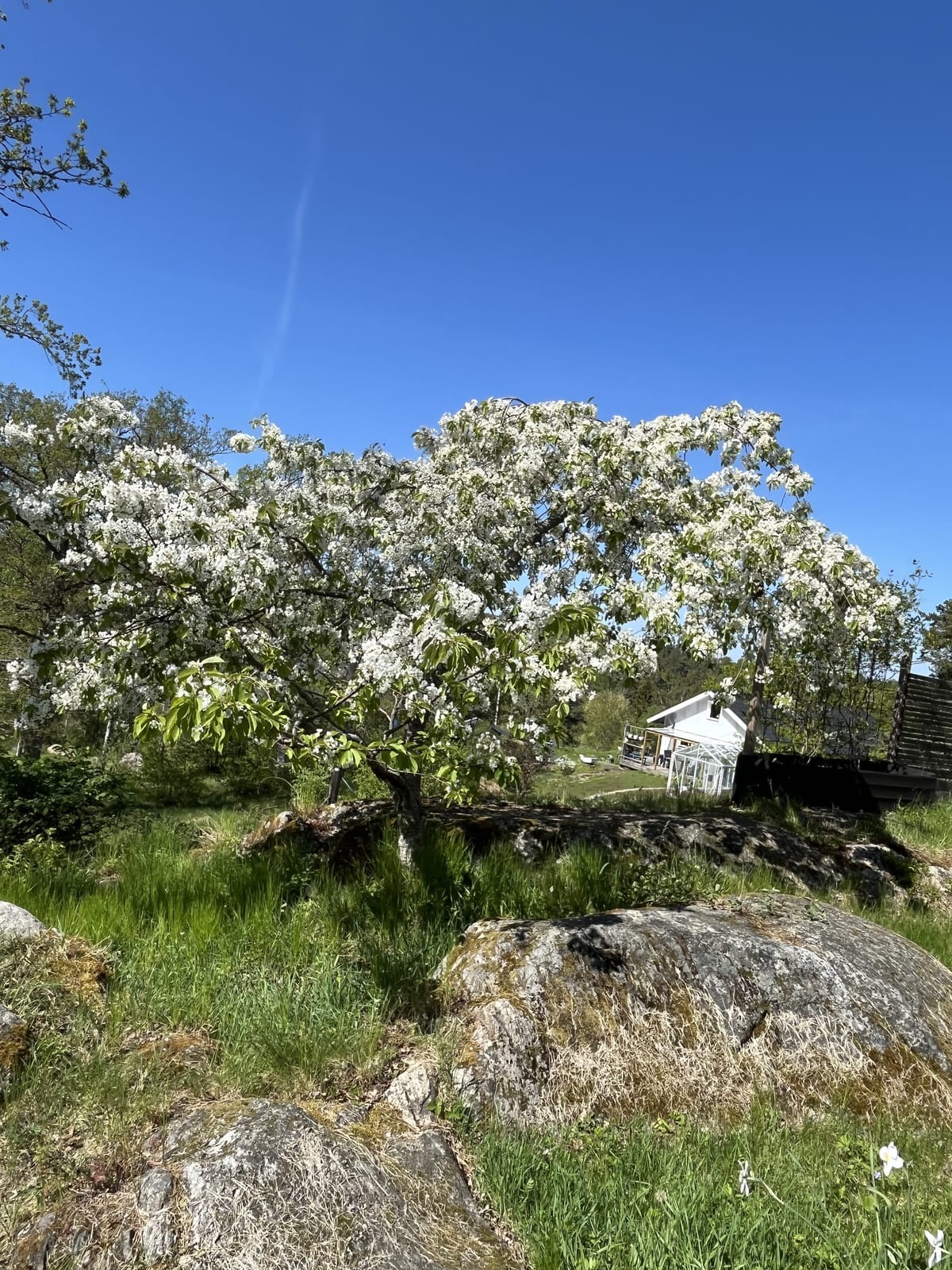 6 rok · 170 m² i Värmdö – bild 3