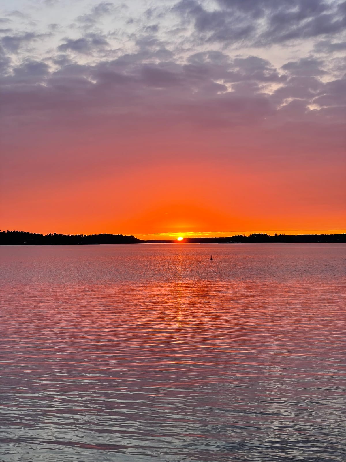 2 rok · 31 m² i Djurhamn – bild 15