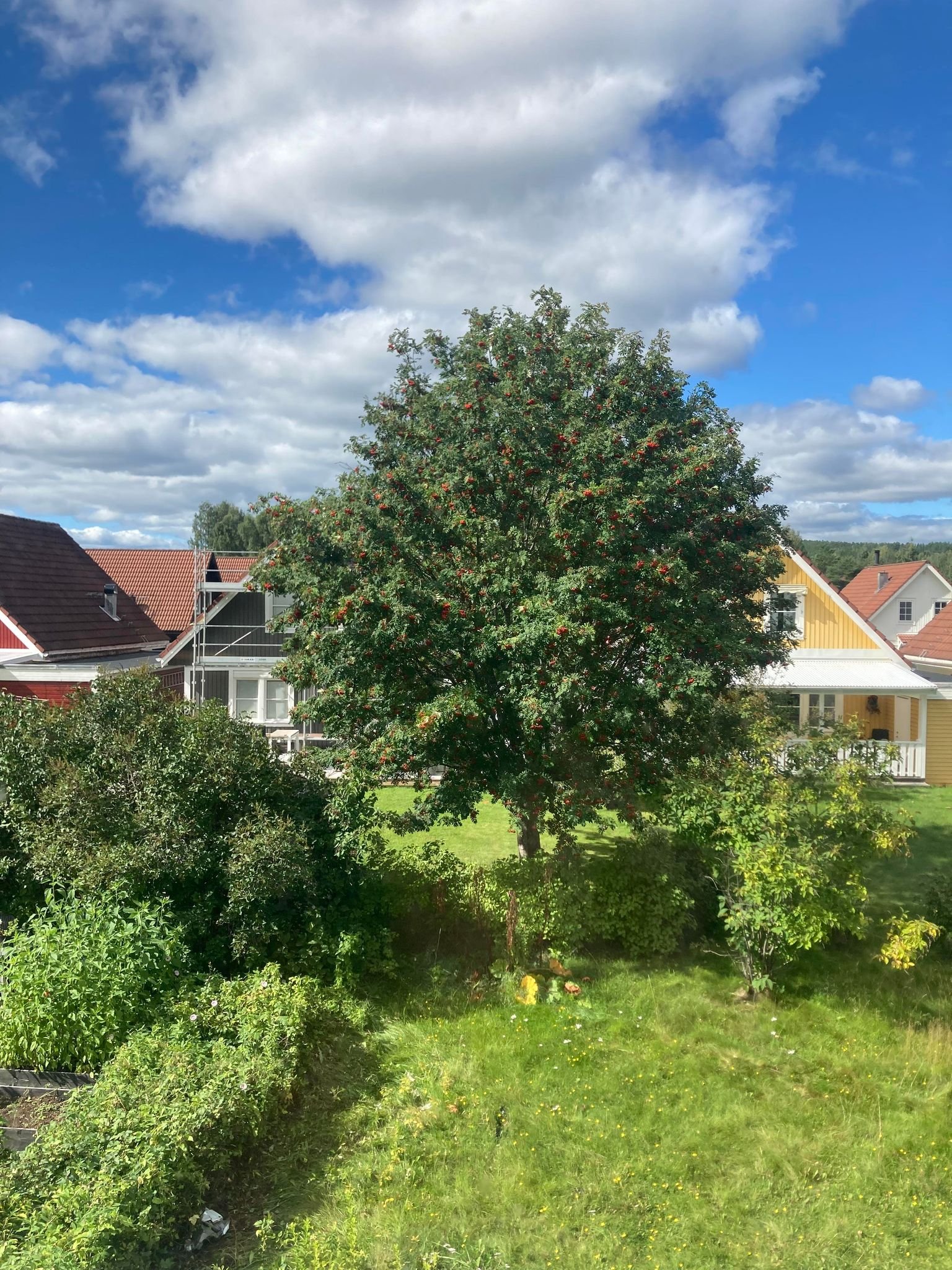 Villa/Hus, 5 rooms, 110 sqm, Sollefteå – bild 6