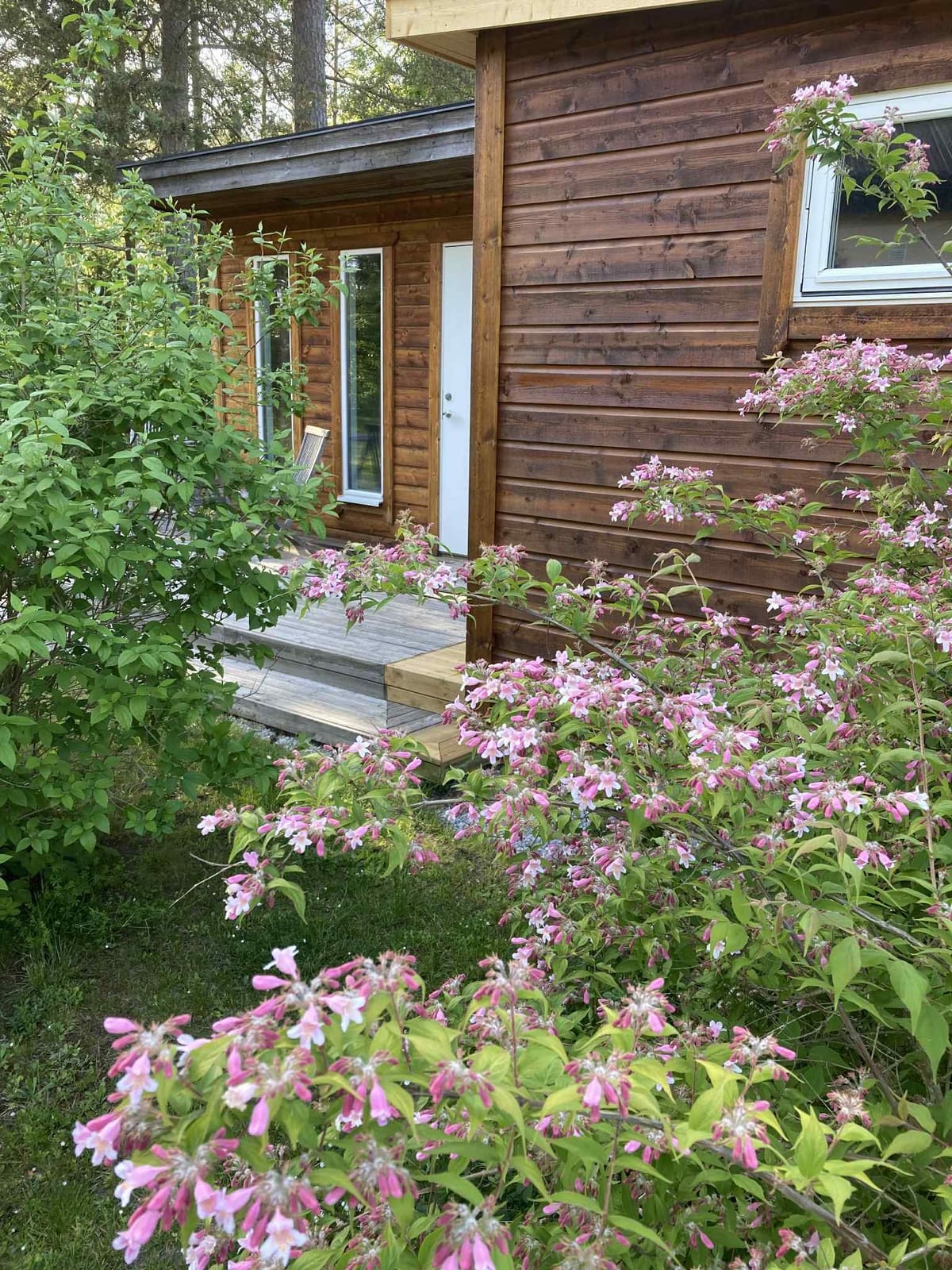 2 rok · 30 m² i Gotlands Tofta – bild 5