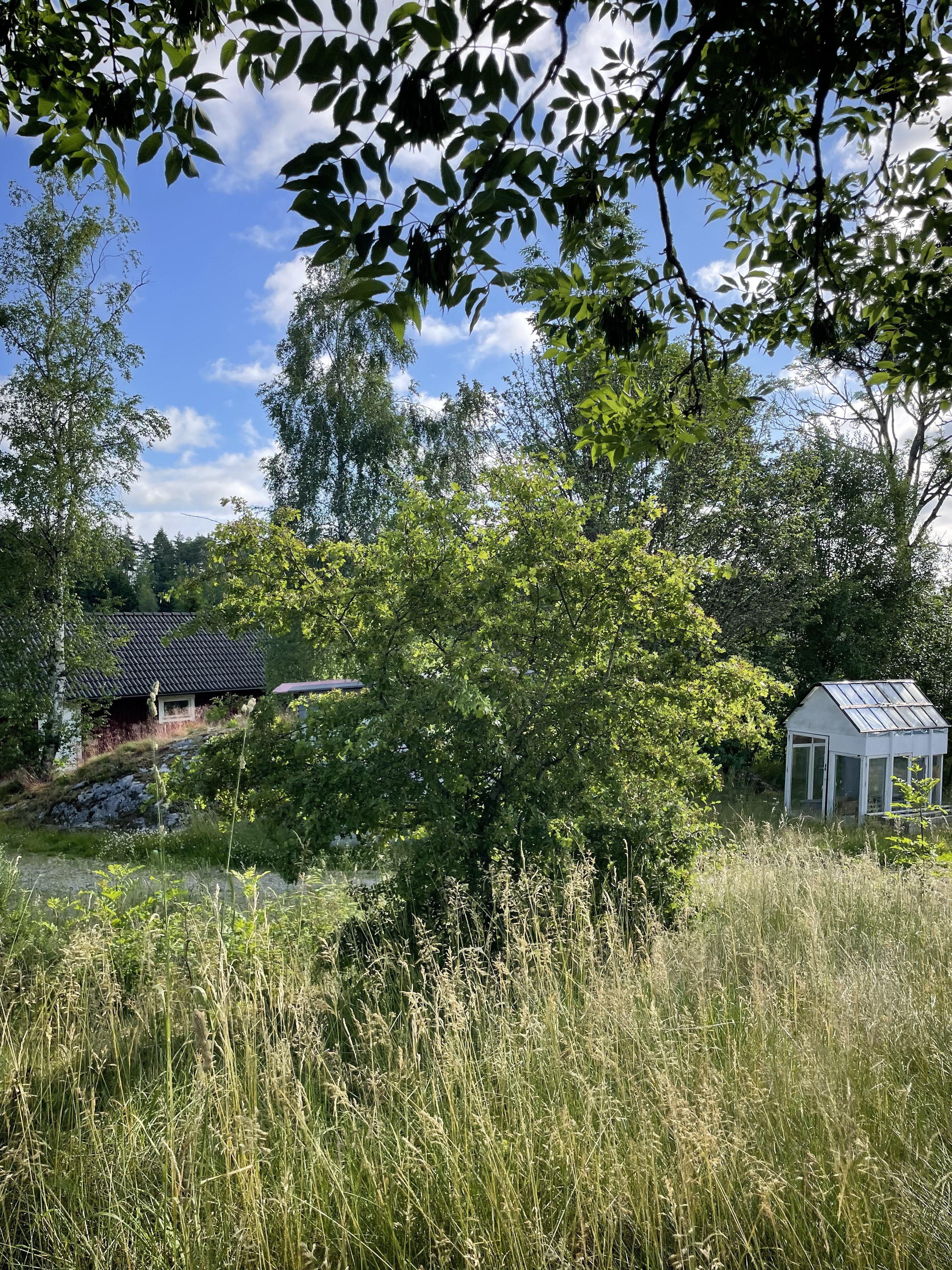 Övrigt, 4 rooms, 90 sqm, Färgelanda – bild 6